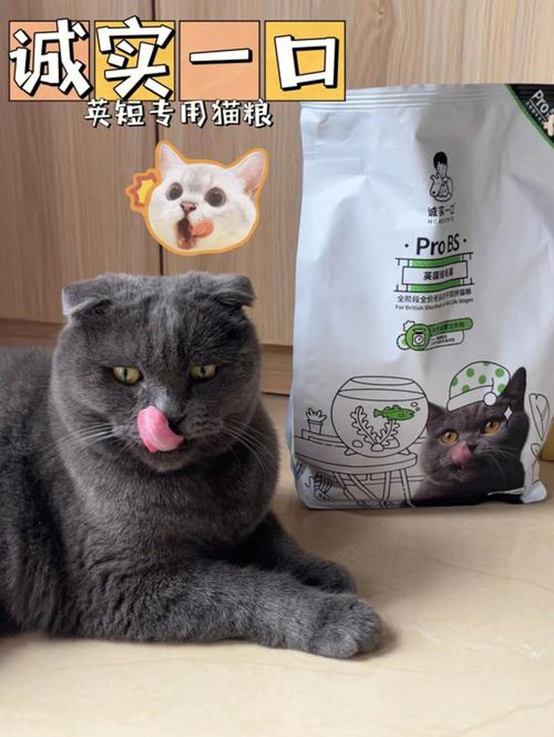 英短必须喂猫粮吗—英短猫粮陷阱：喂食普通猫粮的严重后果-第1张图片-猫咪屋