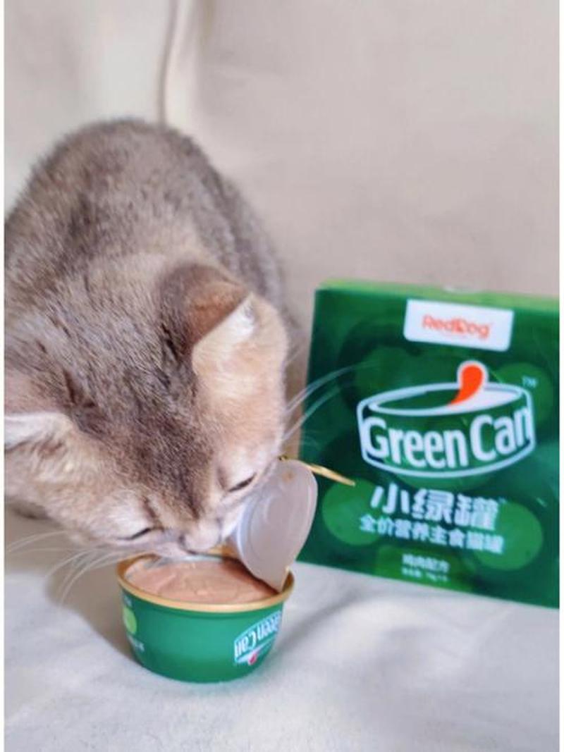 高营养猫罐头_高营养猫罐头怎么吃-第1张图片-猫咪屋