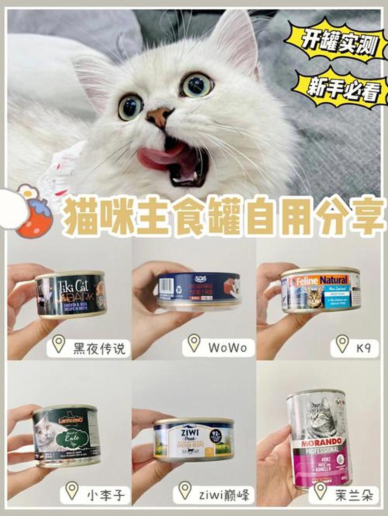 猫零食罐头喂—给猫吃的罐头-第1张图片-猫咪屋