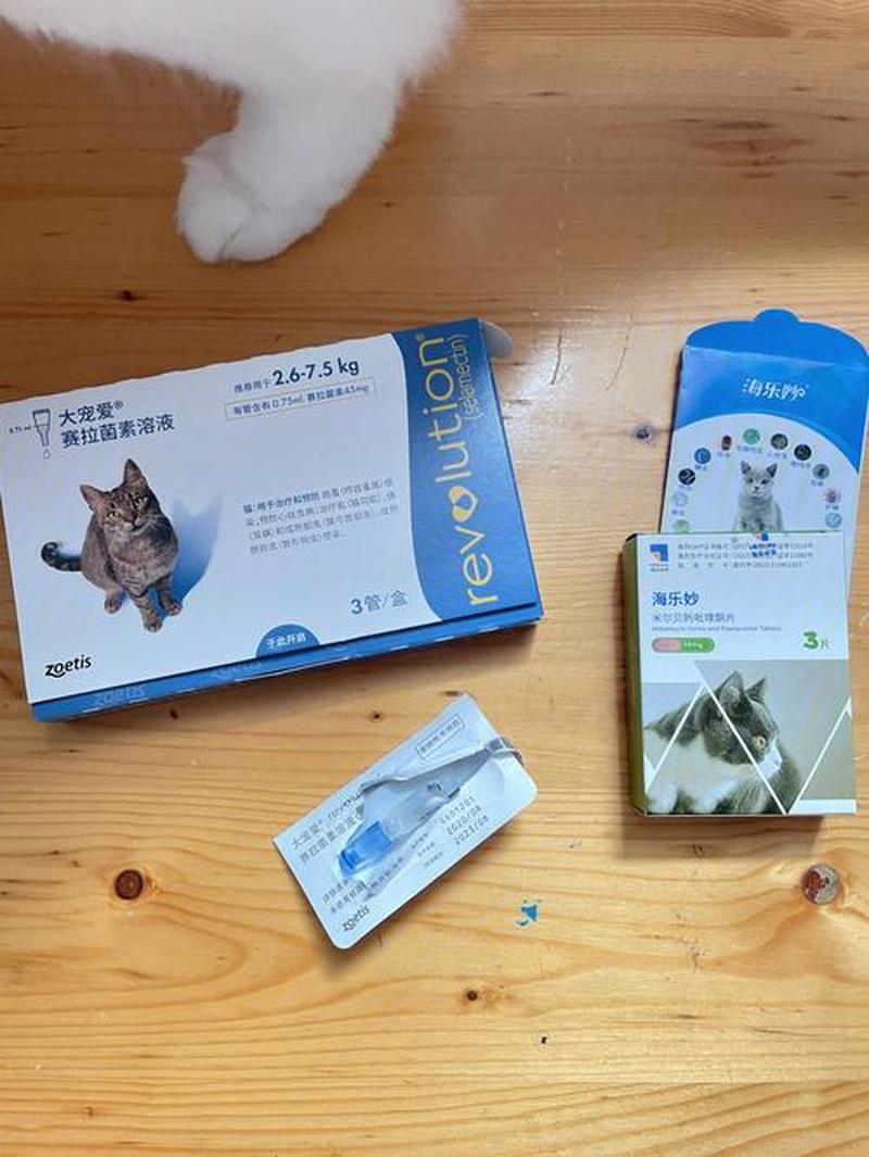 给猫喂拜耳用不用空食—猫拜耳能给狗吃吗-第1张图片-猫咪屋