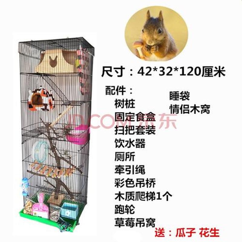 松鼠的笼子可以喂猫吗_猫粮的替代品：松鼠笼中的美味-第1张图片-猫咪屋