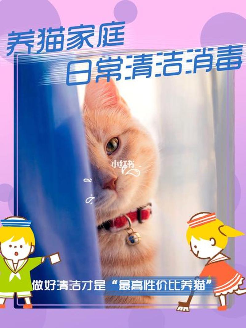 养猫后家里如何消毒—养猫后家里如何消毒更好-第1张图片-猫咪屋