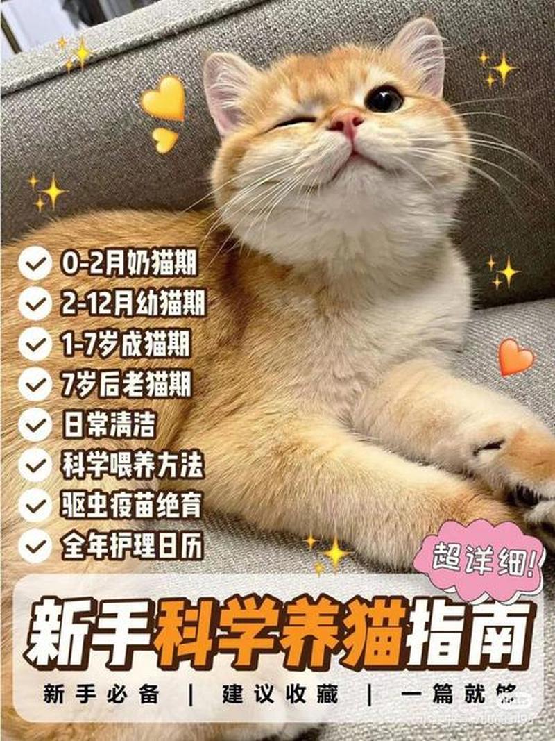 二个月奶猫喂什么_二个月小猫科学喂养指南-第1张图片-猫咪屋