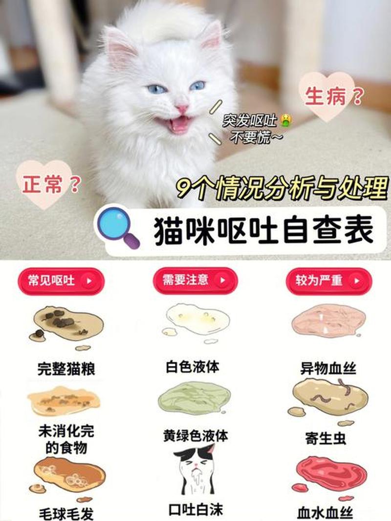 猫感冒一直吐喂什么药(猫咪感冒呕吐用药指南：轻松应对猫咪不适)-第1张图片-猫咪屋