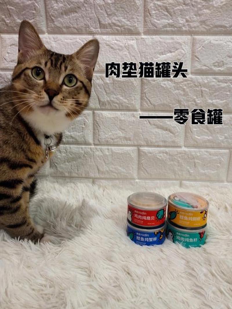 猫零食罐头怎么喂—猫零食罐头喂食指南：量、频次、技巧全掌握-第1张图片-猫咪屋