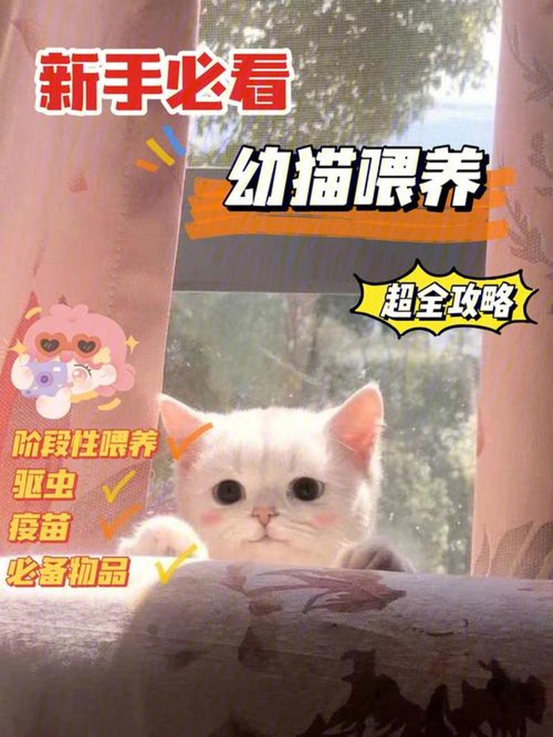 给猫喂蛋黄几天一次(猫猫蛋黄喂养频率指南：每周更佳次数揭秘)-第1张图片-猫咪屋