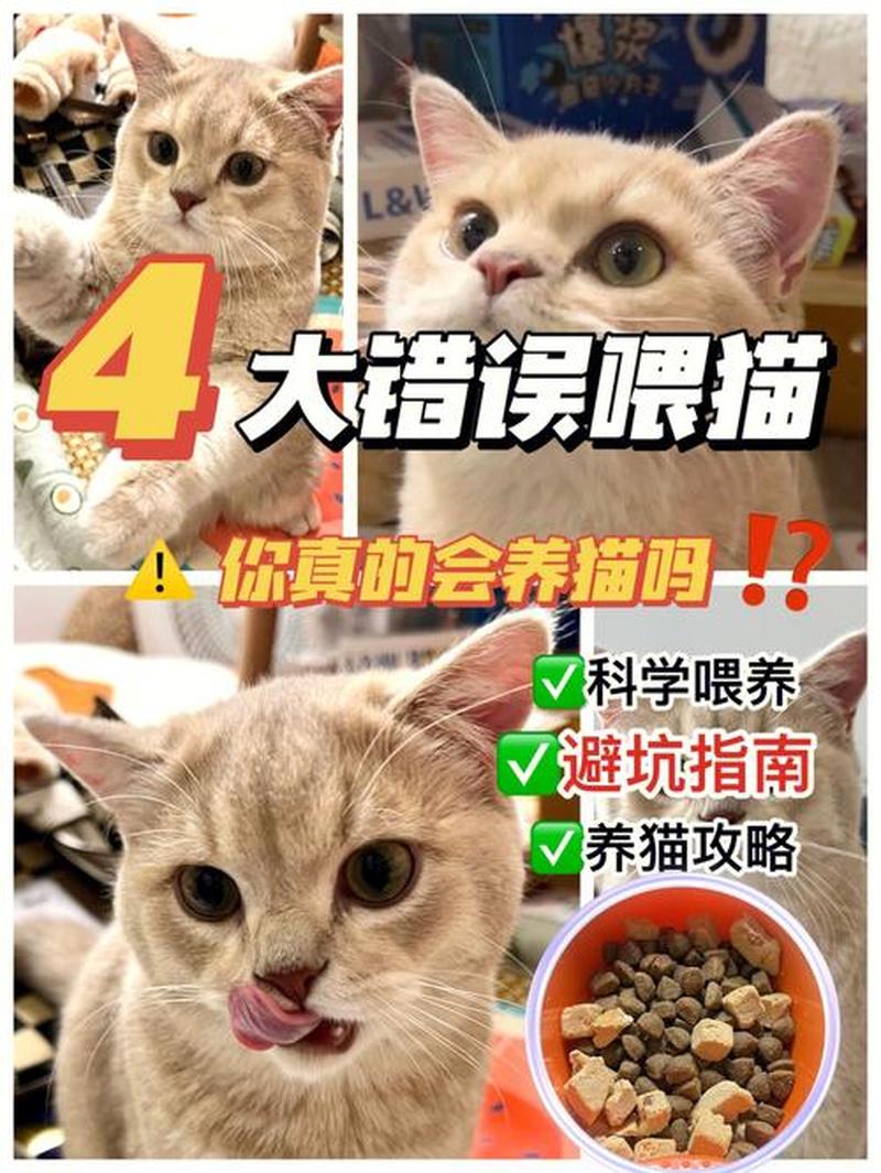 除了猫粮猫可以喂什么_猫粮之外：猫咪营养新选择-第1张图片-猫咪屋