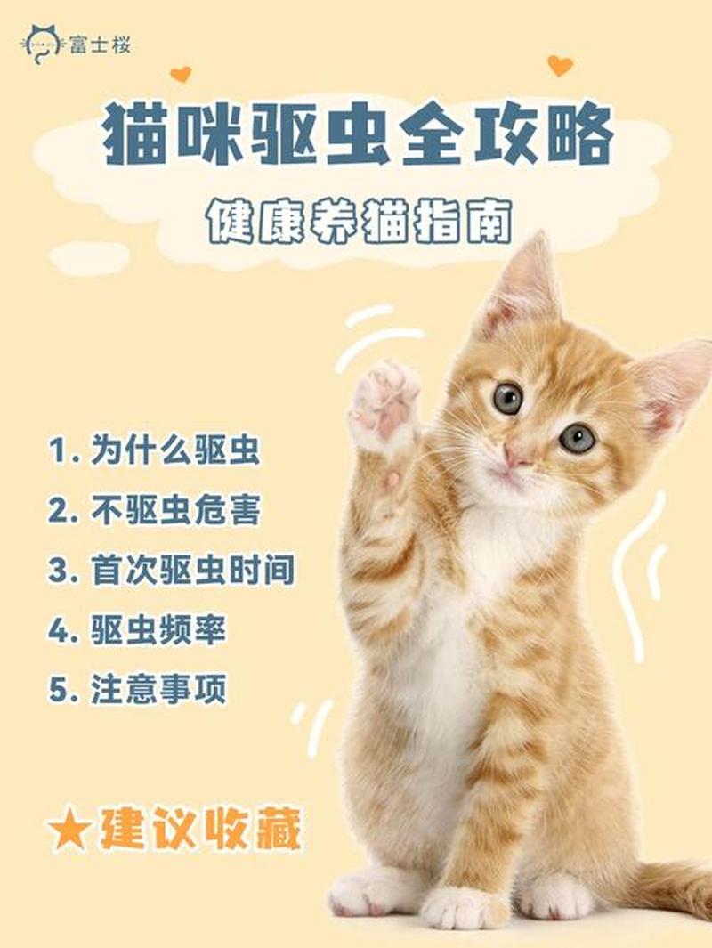 养猫怎样定期消毒更好(定期养猫消毒，打造健康无菌的家园)-第1张图片-猫咪屋