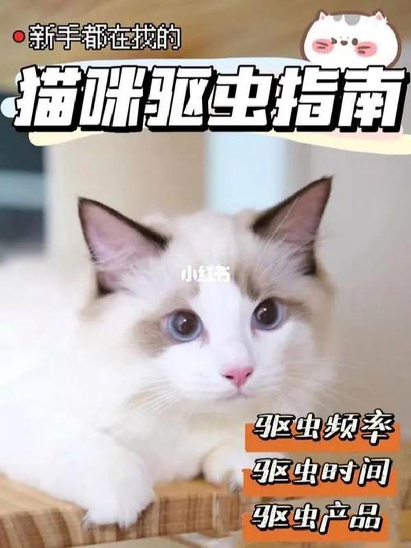 养猫的人怎么抗寄生虫—铲屎官抗击寄生虫，爱猫健康更安心-第1张图片-猫咪屋