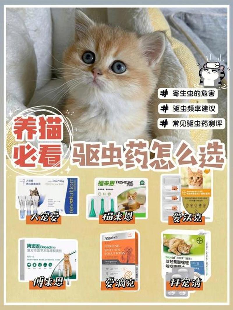 家养猫猫驱虫_猫咪驱虫指南：远离寄生虫危害，守护爱宠健康-第1张图片-猫咪屋