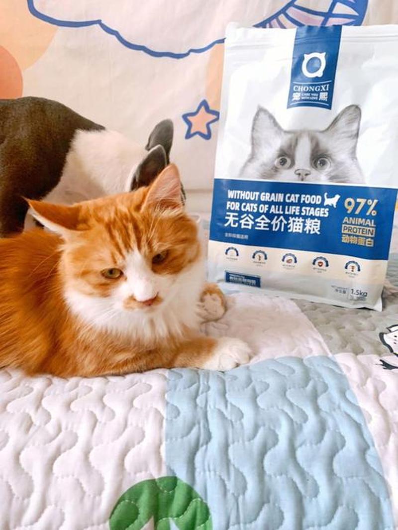 怎么喂猫咪吃猫粮—喂猫咪吃猫粮的朋友圈-第1张图片-猫咪屋