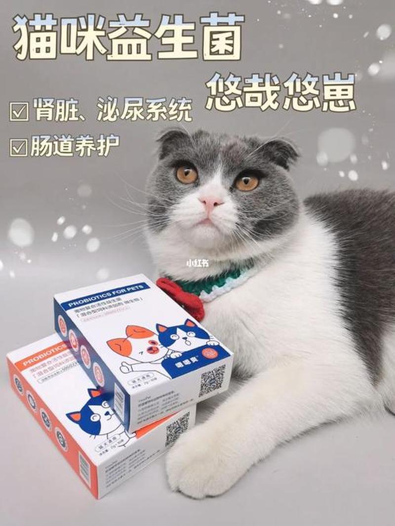 猫喂人吃的益生菌(给猫喂人吃的益生菌)-第1张图片-猫咪屋