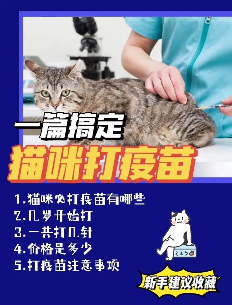 猫咪多久打一次疫苗合适—猫咪疫苗接种时间表：保卫喵咪健康的必备指南-第1张图片-猫咪屋