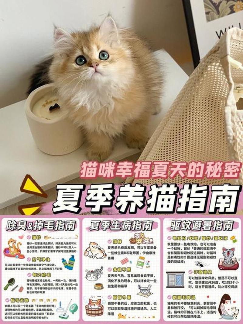 饲养猫只注意营养摄入(科学养猫：关注猫咪营养摄入的指南)-第1张图片-猫咪屋