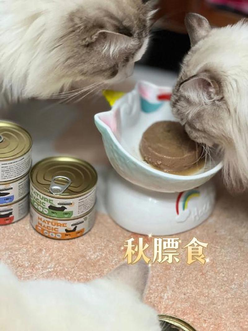 猫多久喂一次罐头—猫咪罐头喂食频率指南-第1张图片-猫咪屋