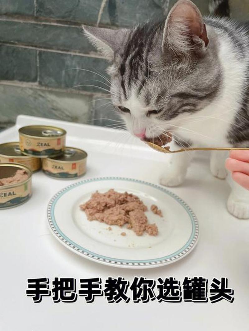 猫用喂罐头吗会死吗_猫咪罐头盛宴：开启味蕾的美味之旅-第1张图片-猫咪屋