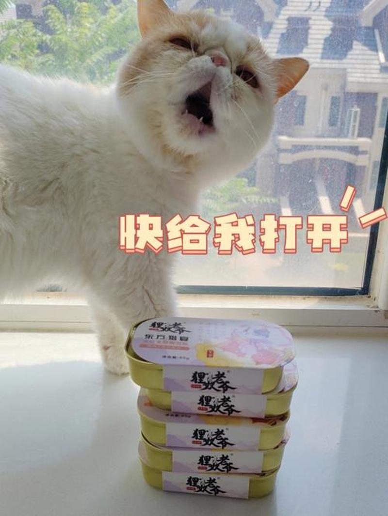 猫多大可以喂罐头_猫多大才可以吃罐头-第1张图片-猫咪屋