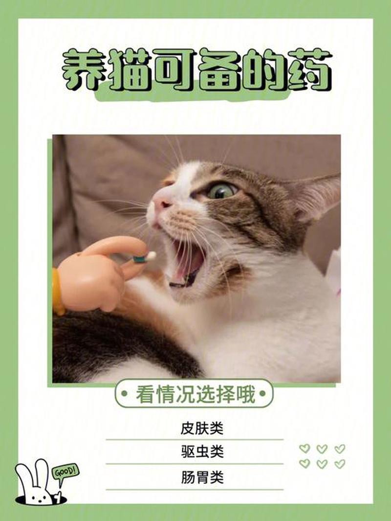 给猫喂思密达喂多少钱_喂猫思密达：正确用量指导-第1张图片-猫咪屋