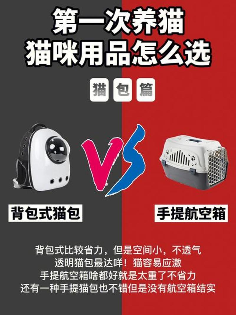 养猫用品大全图片_猫咪舒适生活全攻略：养猫用品一应俱全-第1张图片-猫咪屋