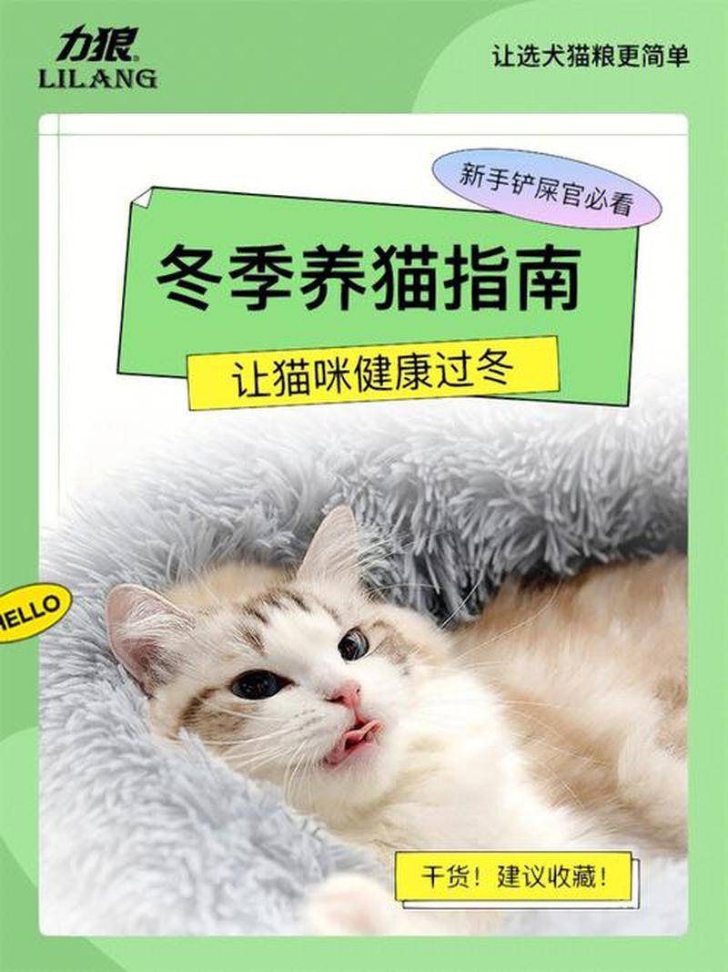 新猫做什么检查_新养猫咪必备化验指南：保障爱宠健康-第1张图片-猫咪屋