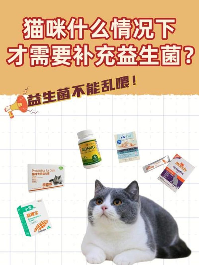 猫便秘喂益生菌有用吗(小猫便秘吃益生菌有用吗)-第1张图片-猫咪屋