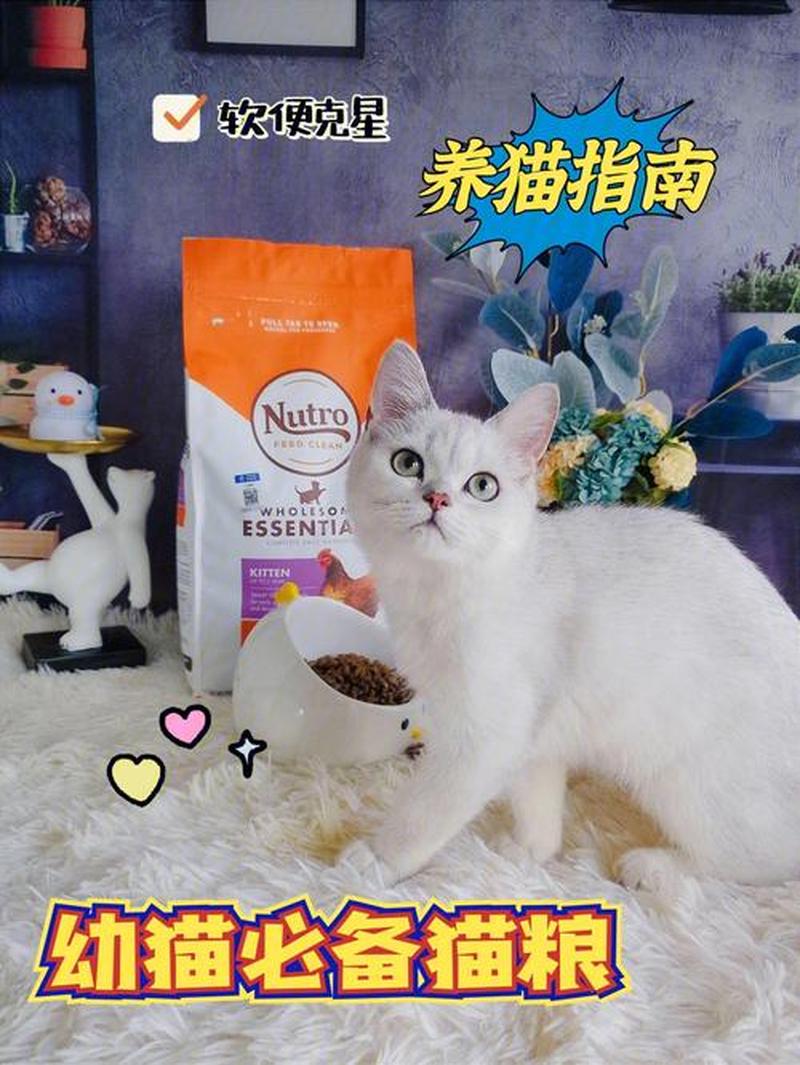 怎么喂幼猫吃猫粮_幼猫喂食猫粮的更佳指南：循序渐进，健康成长-第1张图片-猫咪屋