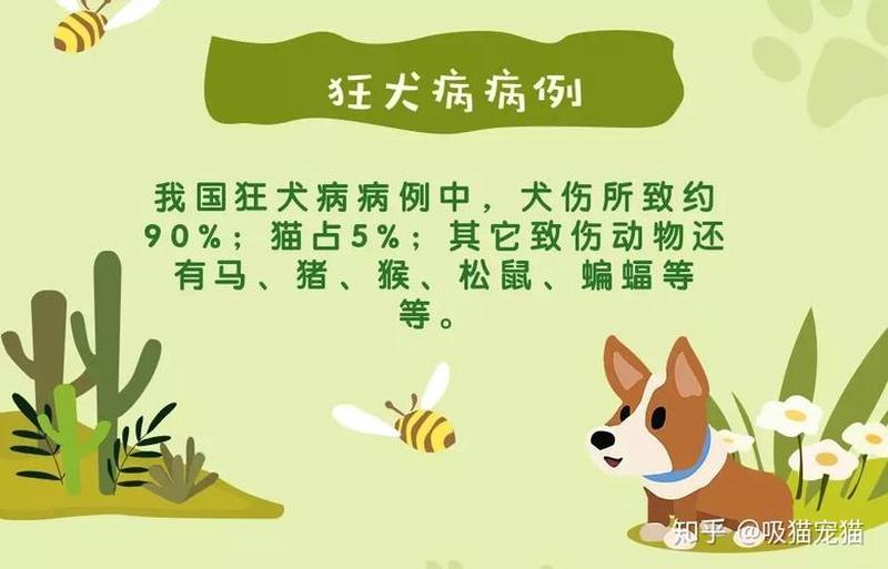 被家养猫咪—被家养猫咪咬了需要打狂犬疫苗吗-第1张图片-猫咪屋