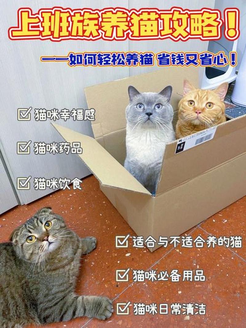 养猫处理猫大便—家里养猫拉屎太臭怎么弄-第1张图片-猫咪屋