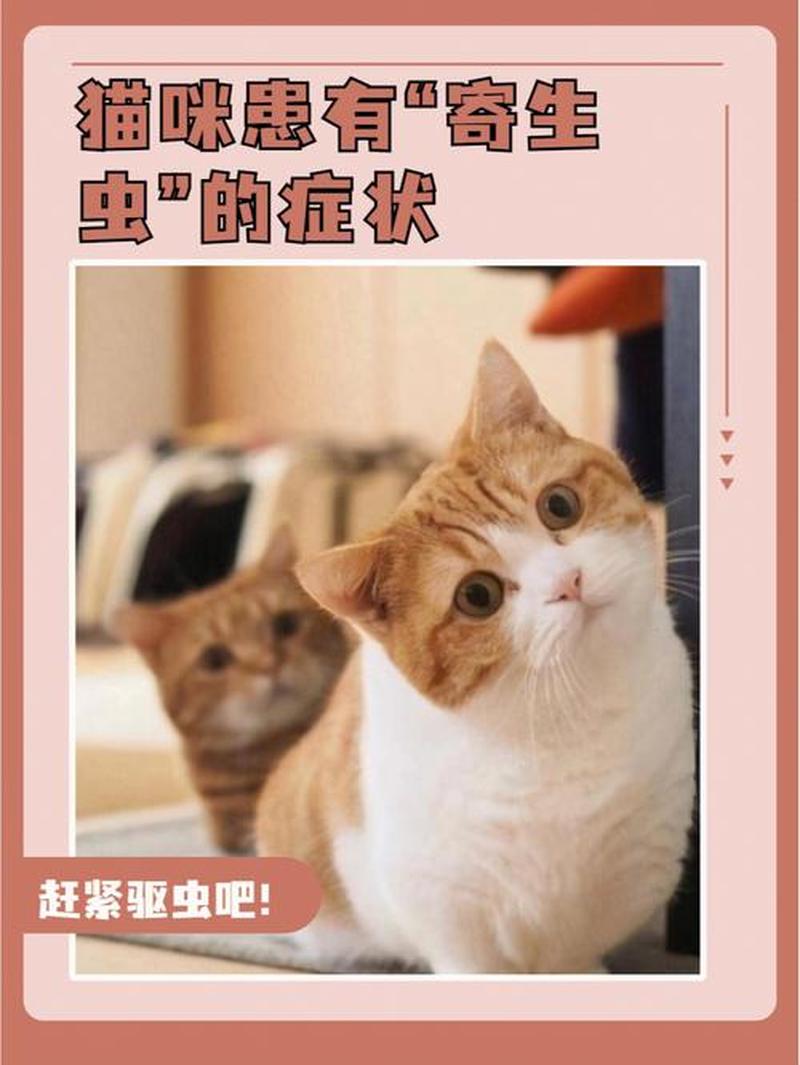 家养猫有寄生虫吗_家猫寄生虫感染：常见症状、治疗和预防-第1张图片-猫咪屋