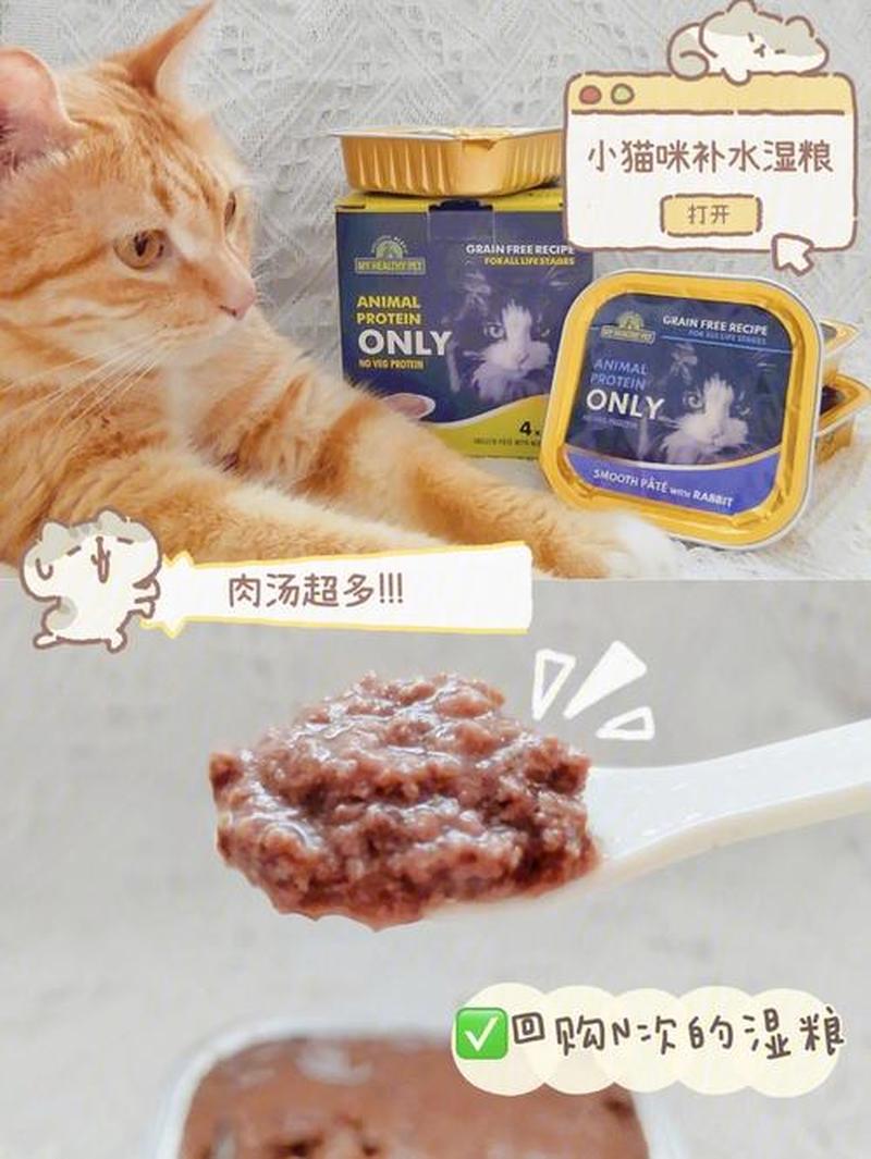 猫湿粮一天喂多少钱—猫咪湿粮每日喂量指南：预算规划-第1张图片-猫咪屋