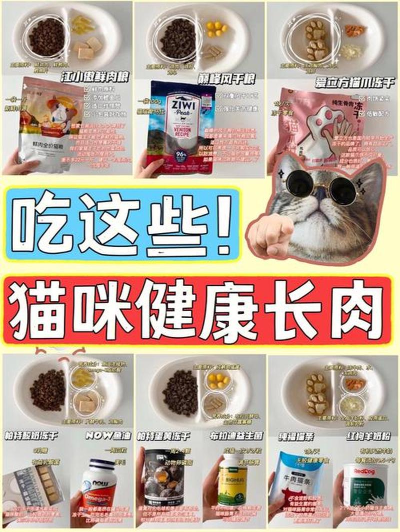 猫咪怀孕猫粮应该喂多少_猫咪怀孕期猫粮饲喂指导：每日摄入量与营养需求-第1张图片-猫咪屋