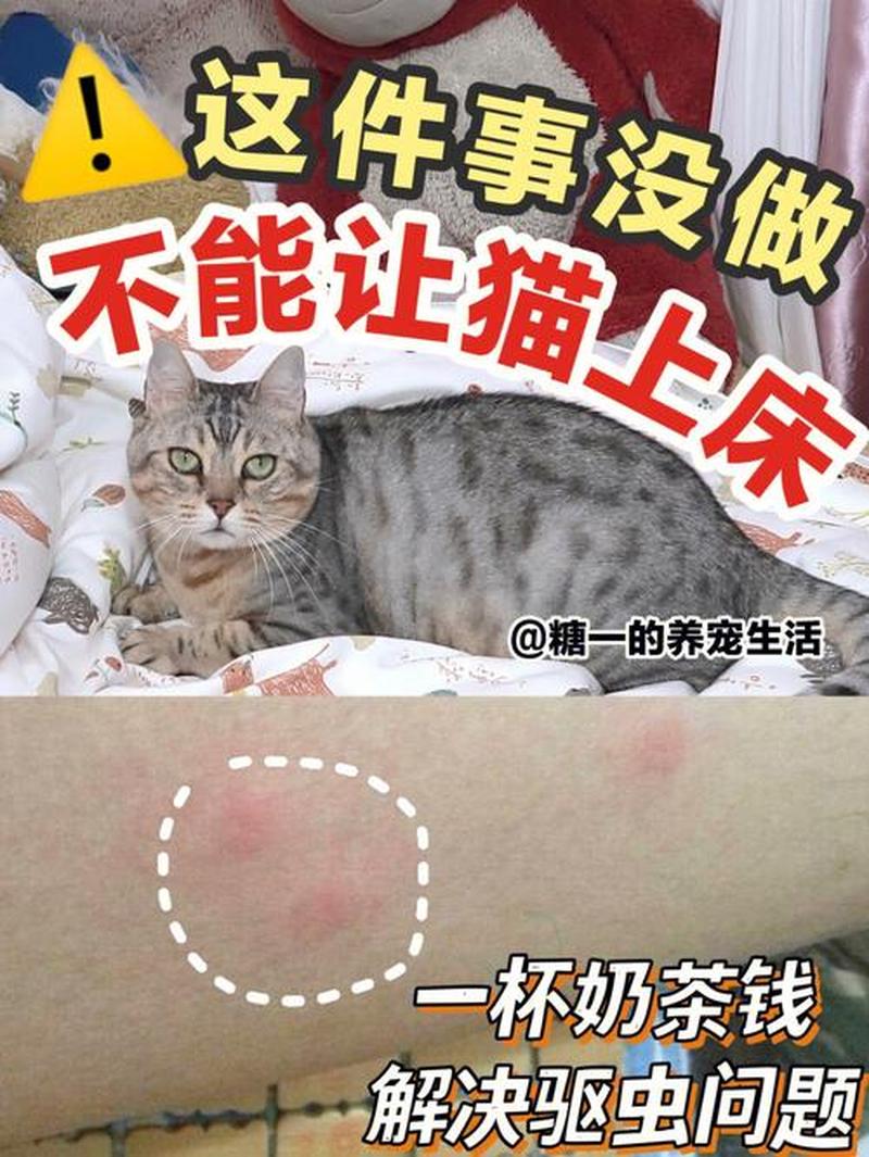 养猫人需要驱虫吗_猫咪寄生虫危机：家养喵星人也需要驱虫-第1张图片-猫咪屋