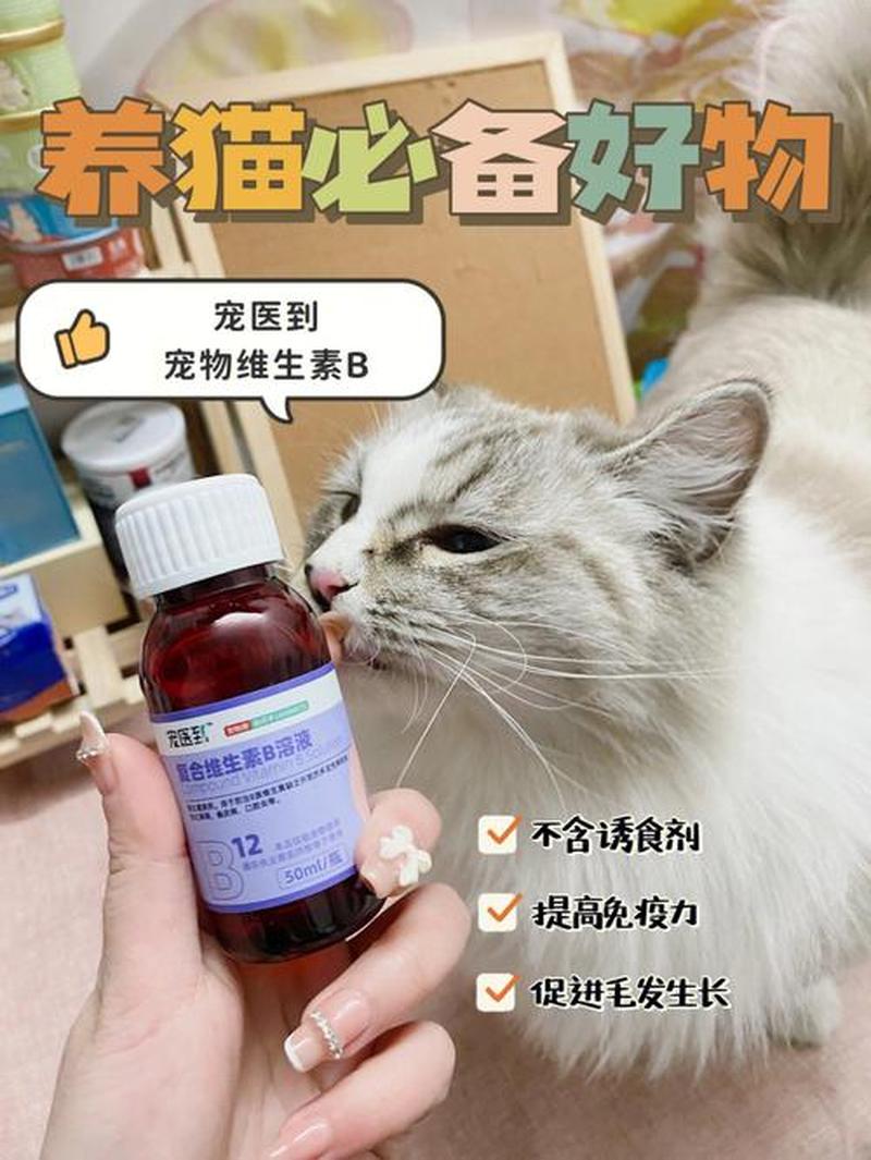 猫咪吃什么样的维生素b(解锁猫咪健康秘诀：揭秘猫咪所需维生素B)-第1张图片-猫咪屋
