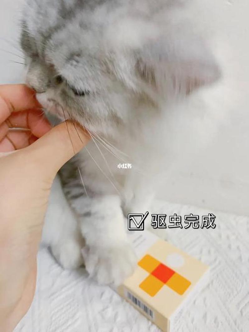 猫驱完虫食欲不振(猫咪体内驱虫后食欲不振)-第1张图片-猫咪屋