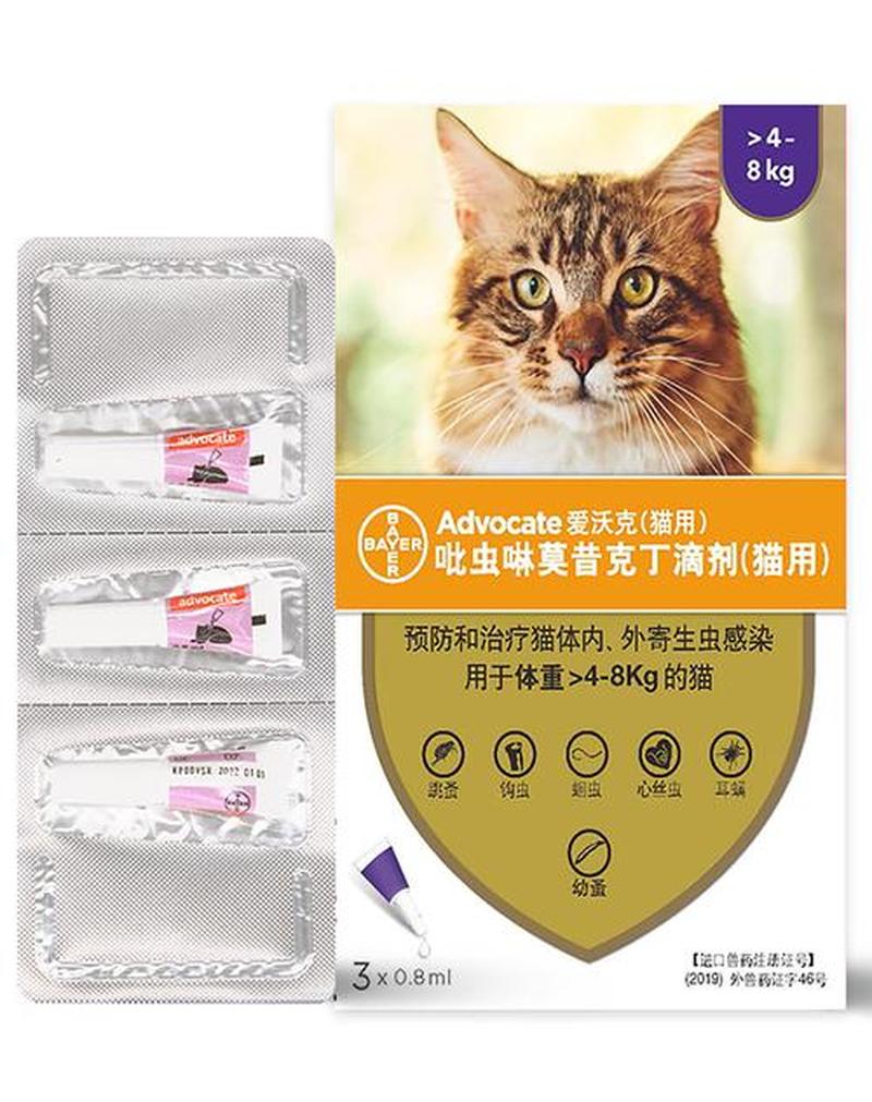 猫驱虫药喂多少钱(猫驱虫药剂量：根据体重喂食多少？)-第1张图片-猫咪屋