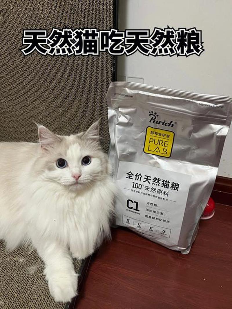 猫咪几个月以后可以吃成猫猫粮(小猫几月龄开始食用成猫粮)-第1张图片-猫咪屋