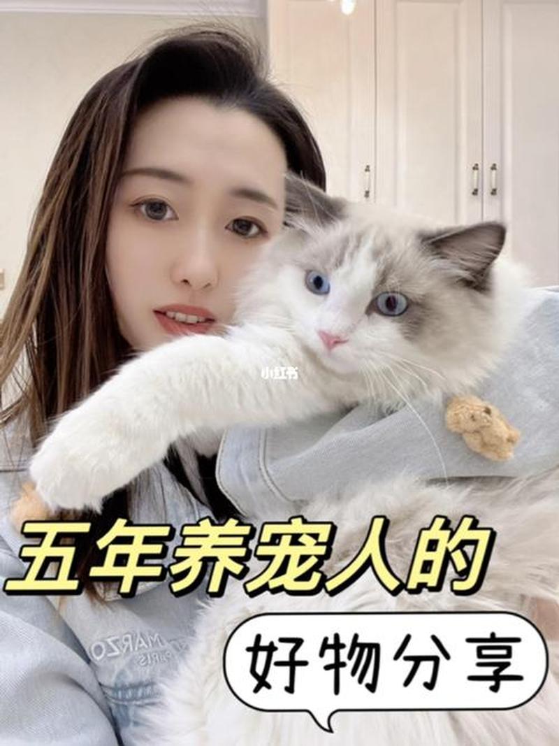 养猫还是挣钱_养宠生财：养猫还是更赚钱？-第1张图片-猫咪屋