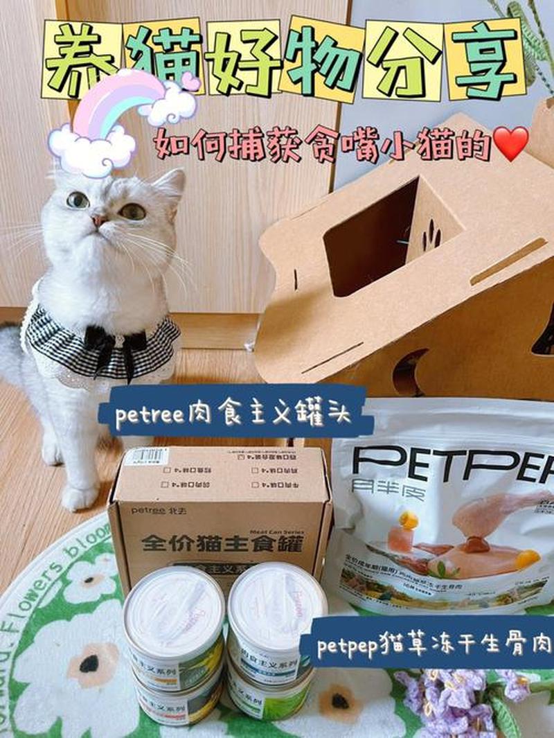 4个月猫猫突然间食欲下降(四个月猫食量减少但是很活泼)-第1张图片-猫咪屋