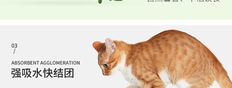 养猫用艾叶可以吗—猫能用艾草吗-第1张图片-猫咪屋