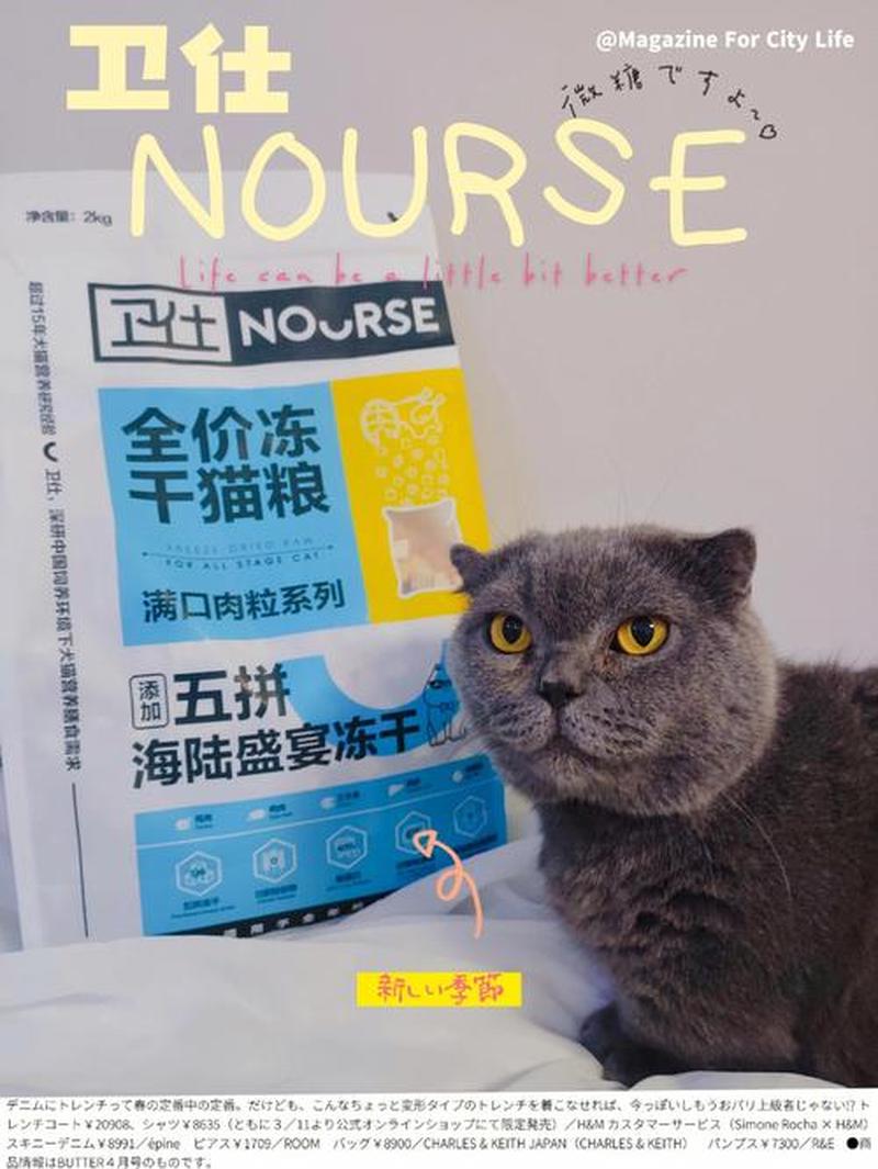 猫咪喂鸡肝行吗—滋养喵星人：鸡肝喂食指南-第1张图片-猫咪屋