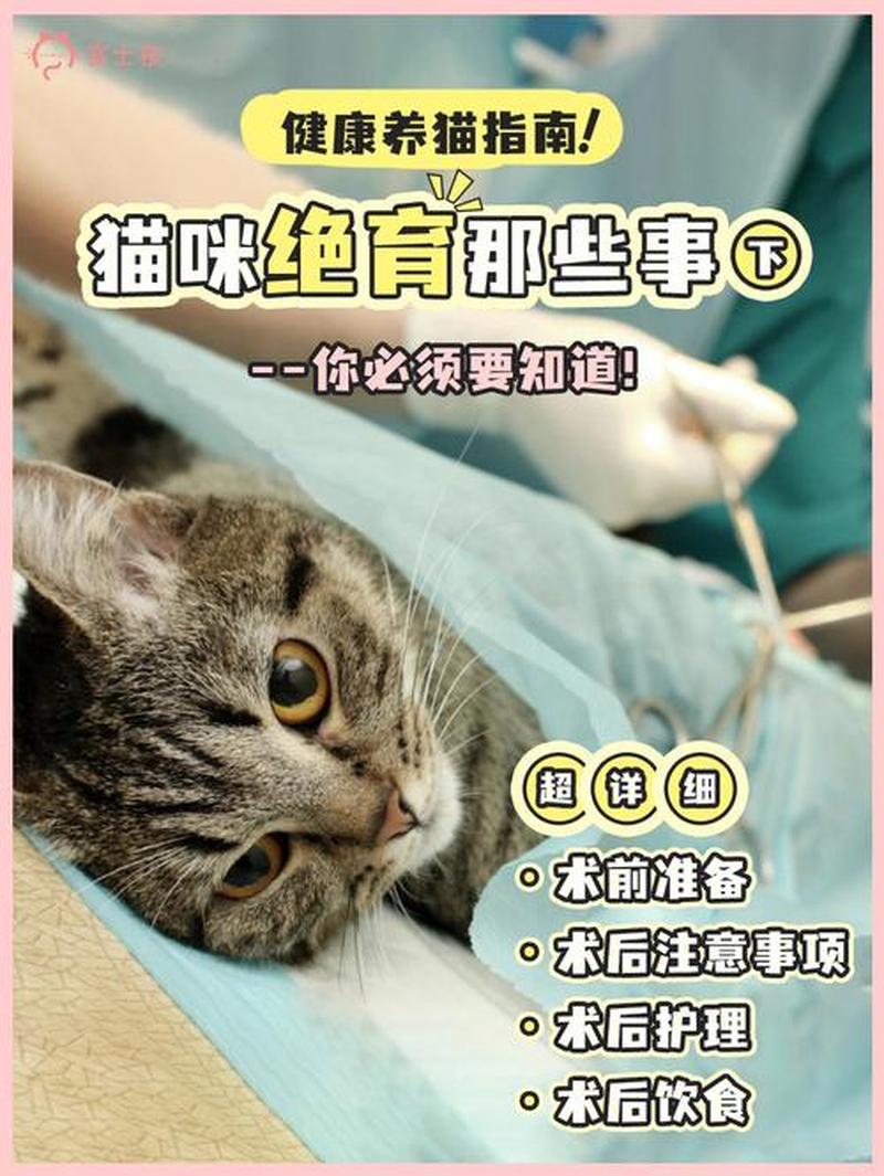 养猫 怎么打扫家里卫生_科学养猫，卫生为王- 全面指南呵护猫咪健康-第1张图片-猫咪屋