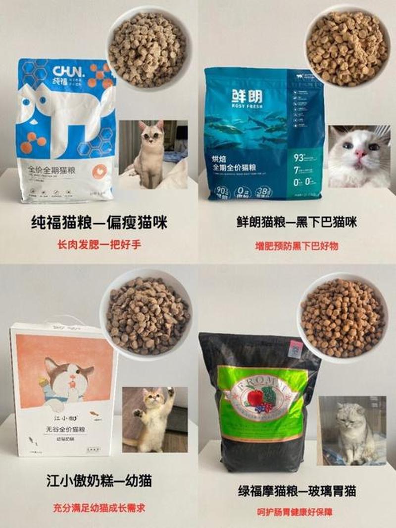 满月猫多久喂猫粮(每隔多少小时，满月猫应该喂一次猫粮？)-第1张图片-猫咪屋