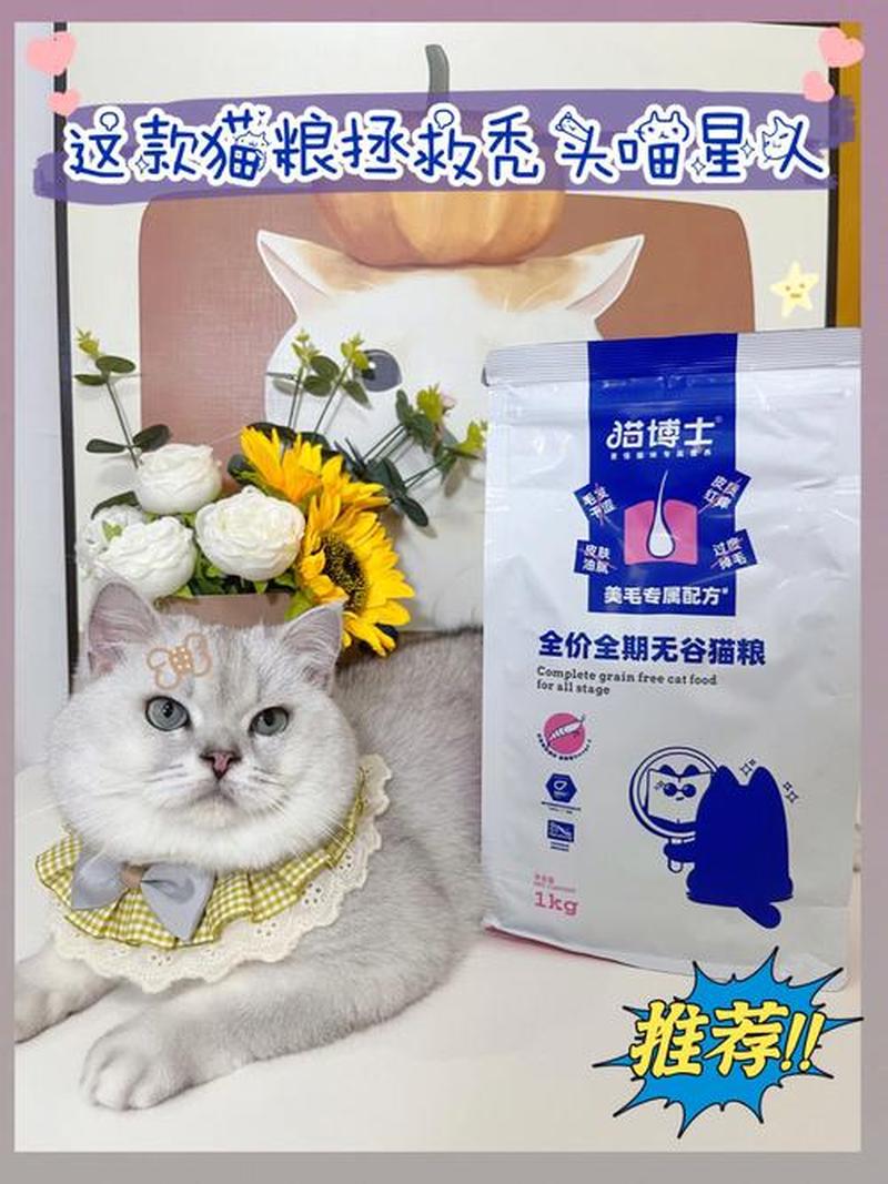 猫除了猫粮该吃什么_猫咪美味盛宴：除了猫粮，解锁喵星人的更爱-第1张图片-猫咪屋