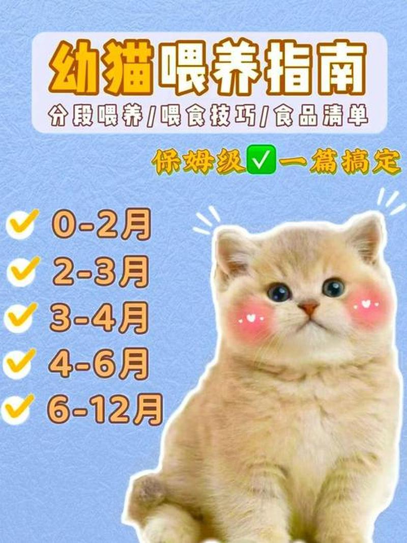 奶猫每次喂多少_奶猫每次喂食量的精确指导-第1张图片-猫咪屋