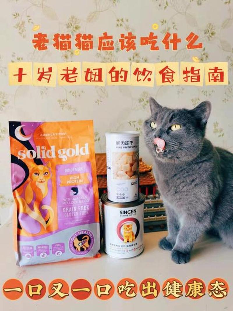 猫一次喂多少猫粮—猫咪喂食量指南：适量饮食，健康相伴-第1张图片-猫咪屋