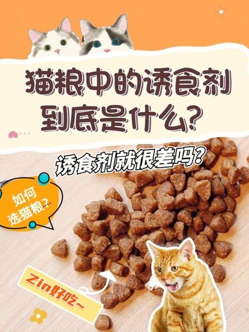 给猫咪喂猫粮的时候它刨地(猫咪刨地奇闻：喂食时为何演绎挖矿历险记”)-第1张图片-猫咪屋