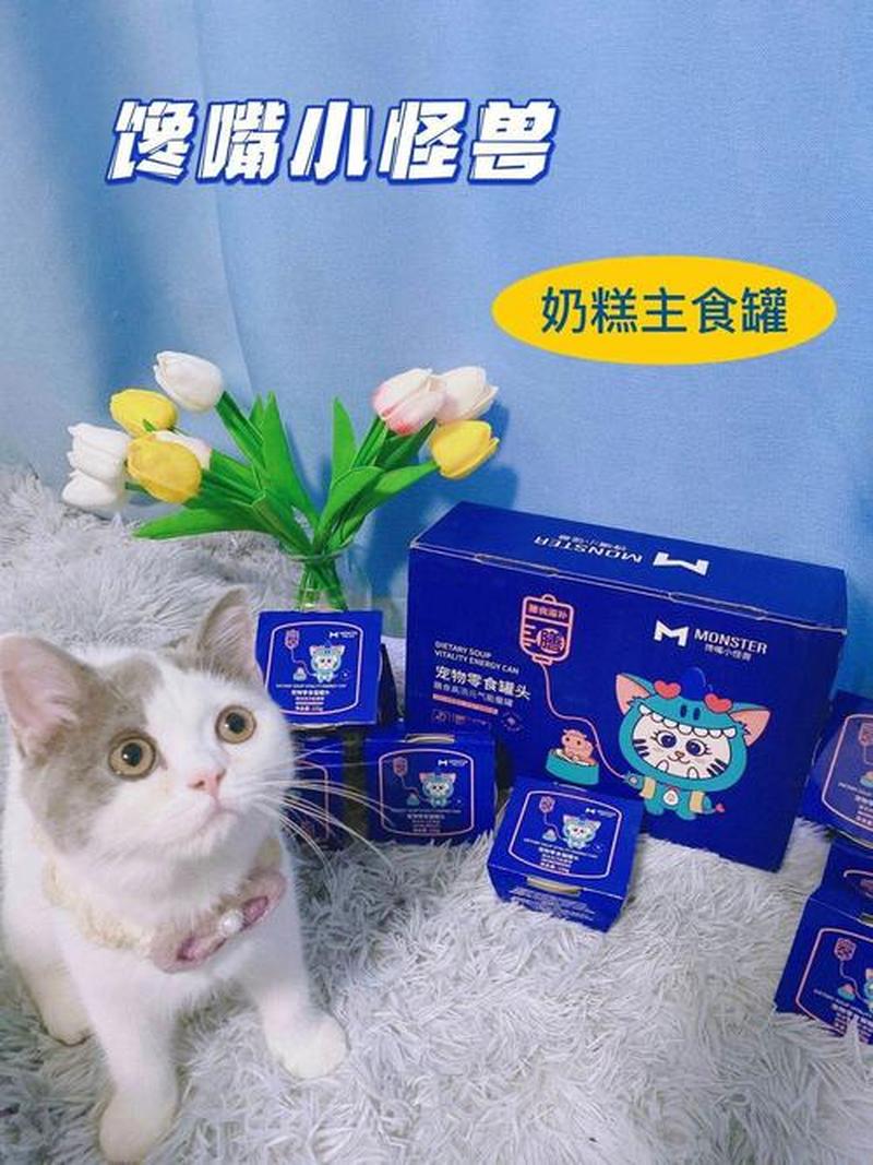 小奶猫奶糕(萌动幼猫奶糕喂养指南，呵护健康成长)-第1张图片-猫咪屋