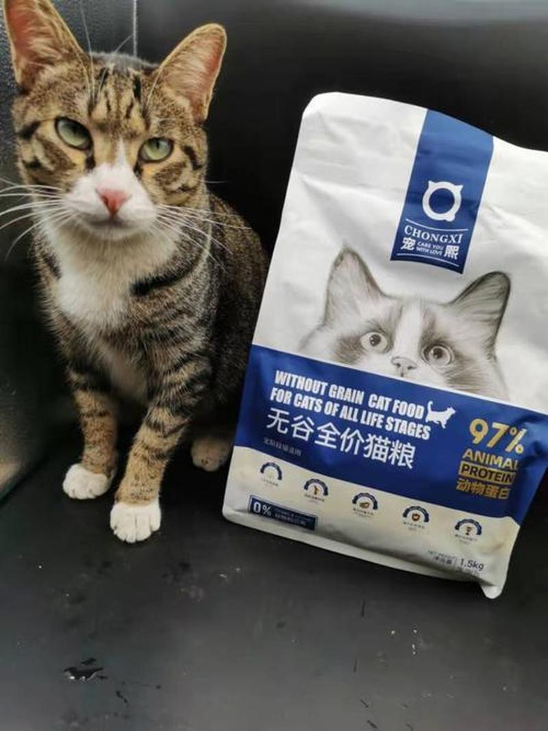 现在都在养猫挣钱—互联网养猫新风口：蓬勃商机，猫奴变收割机-第1张图片-猫咪屋