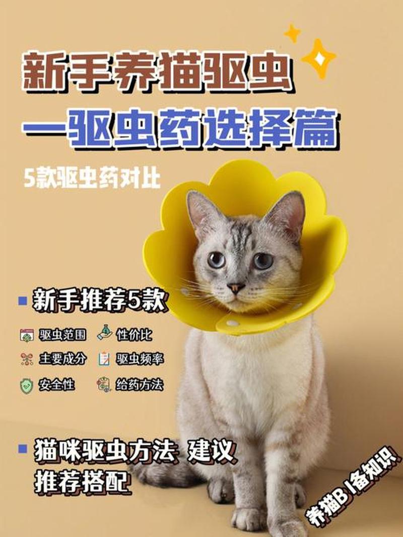 猫咪体内除虫—猫体内驱虫药科学喂食指南：用量、 *** 与注意事项-第1张图片-猫咪屋