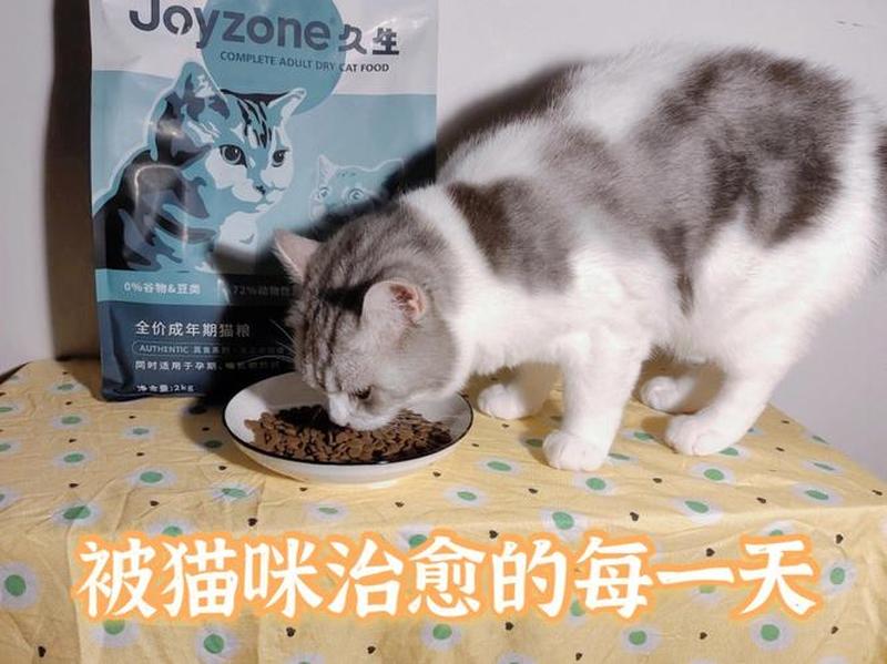 猫一直喂猫粮—猫一直喂猫粮吗-第1张图片-猫咪屋